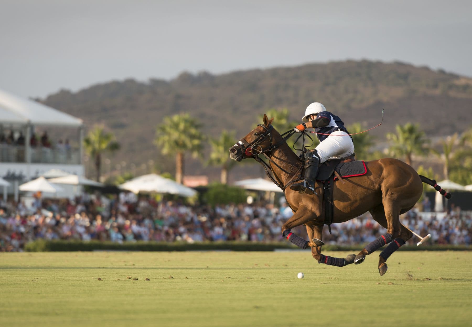 Polo match at Sotogrande